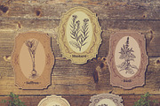 Herbs and spices. Vintage labels set, a Food Illustration by kateja (Thumbnail 3 of 8)