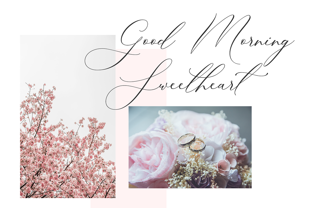 Luxury Font - Boheme Floral preview 3