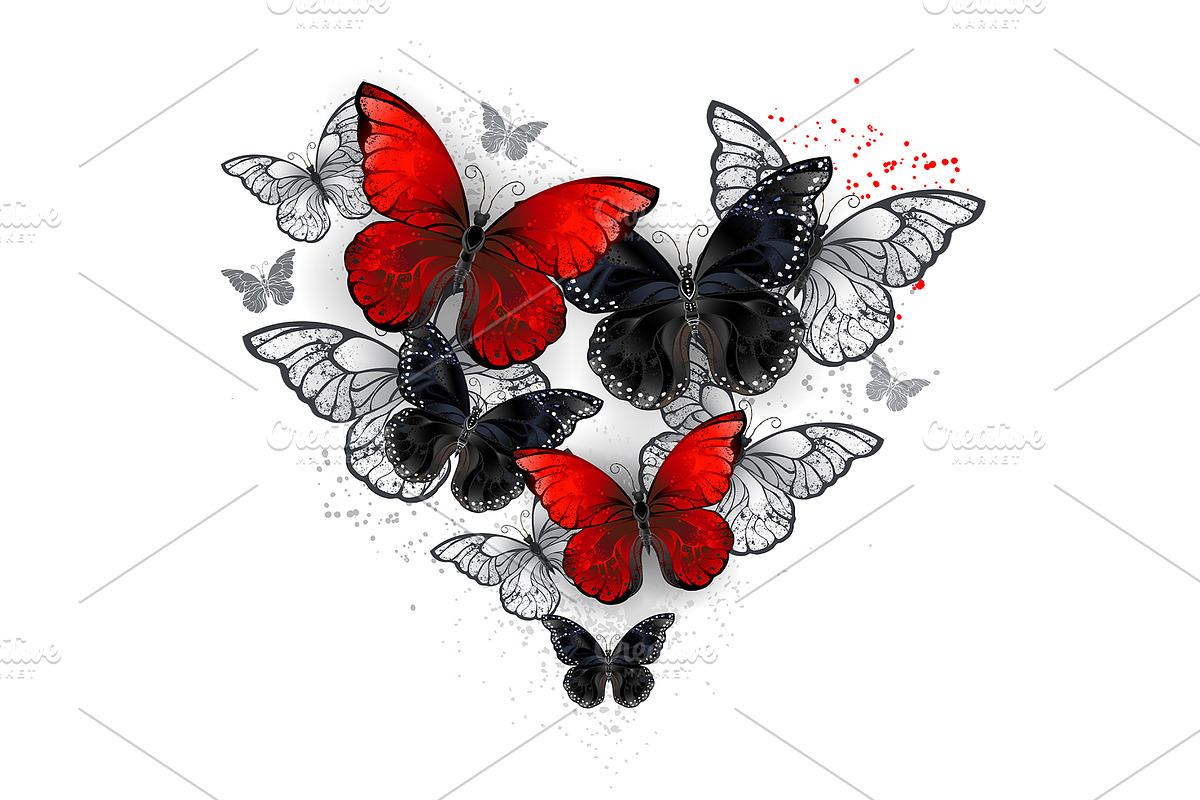 Realistic Black and Red Morpho, an Animal Illustration by blackmoon9