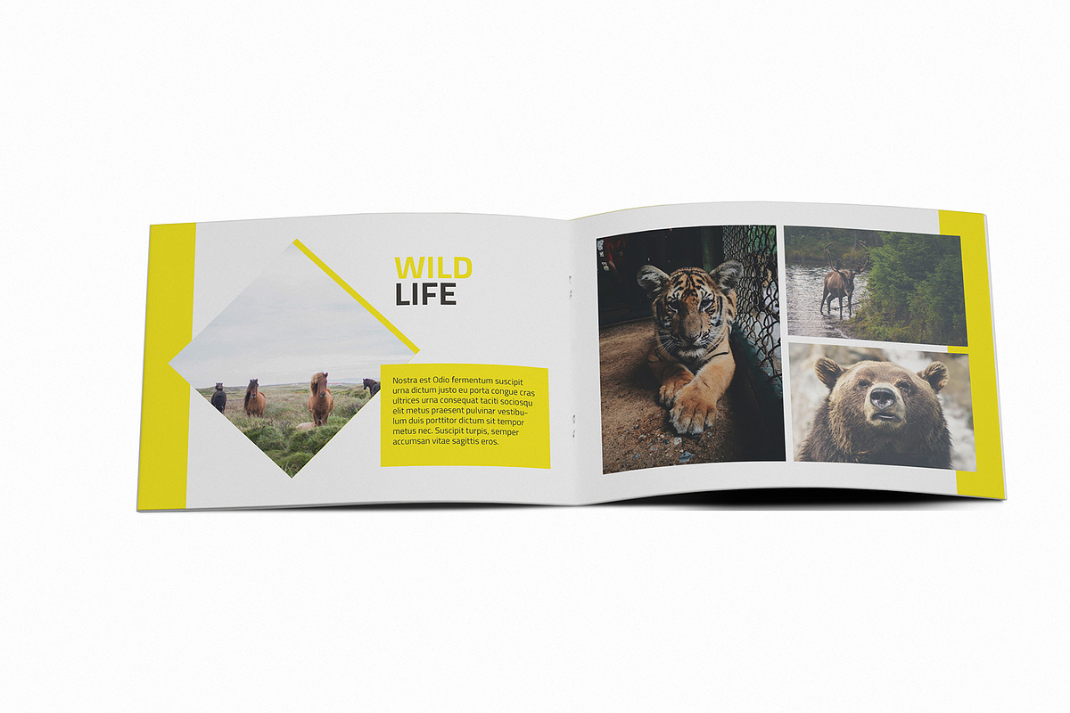 Lensa Photography - A5 Brochure, a Brochure Template by Incools Stokie (Photo 7 of 13)