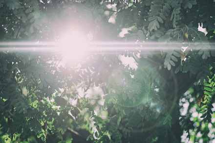 Here comes the sun