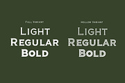 Veneer, a Serif Font by Loudoun Design Co. (Thumbnail 2 of 11)