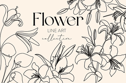 Flower Line Art Pattern Set