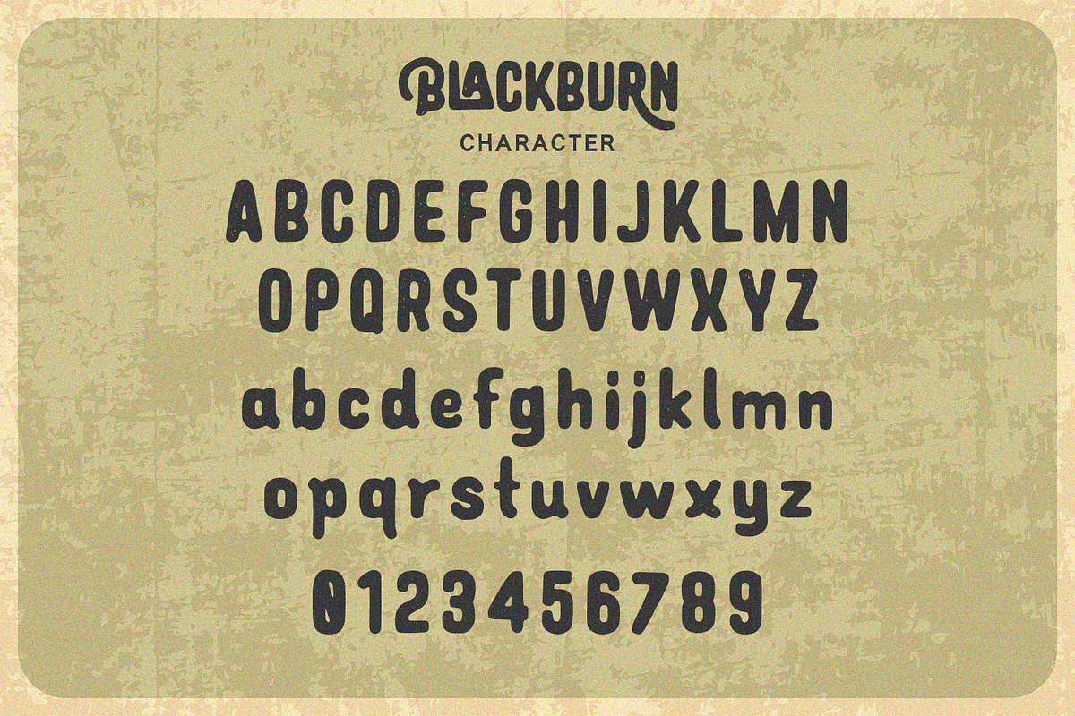 Blackburn - Vintage Font, a Script Font by Alpaprana (Photo 4 of 13)