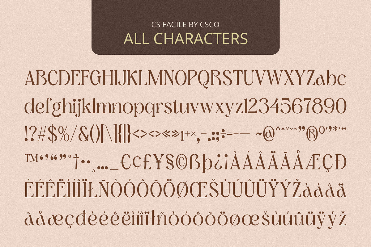 CS Facile – Elegant Font, a Serif Font by Craft Supply Co. (Photo 8 of 8)
