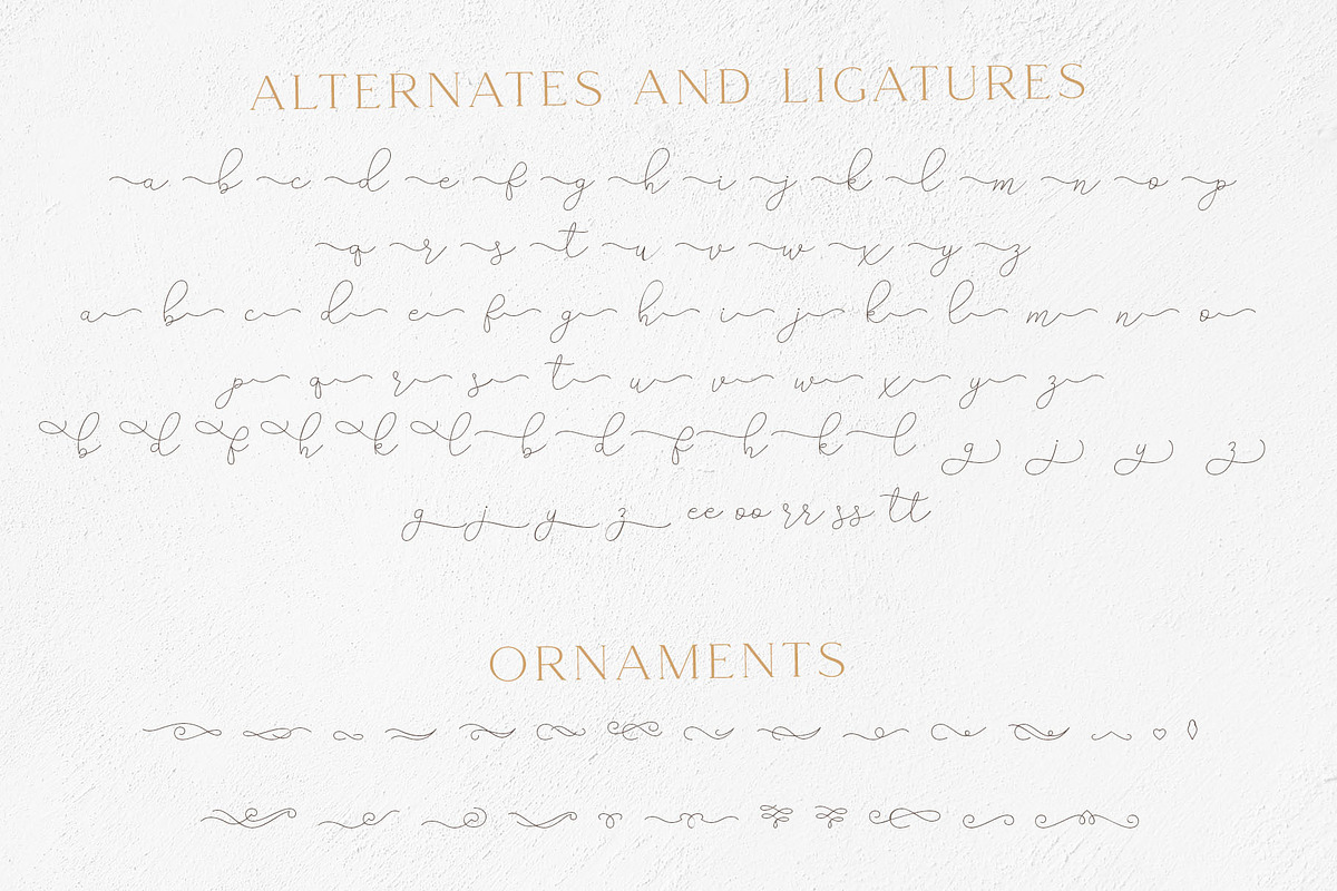 Gamour - Elegant Serif Font + Bonus preview 8
