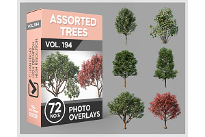 72 Assorted Trees Photo Overlays
