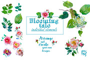 Blooming Tale. Watercolor clipart, an Illustration by Irina Dolgikh (Thumbnail 6 of 8)