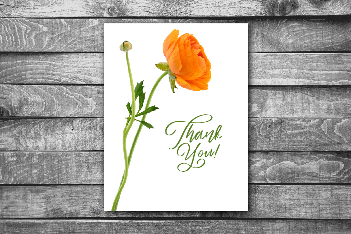 Ranunculus Floral ClipArt Realistic, an Object Graphic by Turning Moss (Photo 9 of 12)