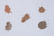 Splatters Splashes & Spills, a Brush Add-On by Blue Line Design (Thumbnail 3 of 5)