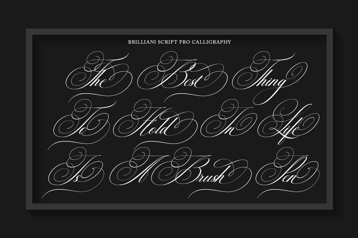 Brilliani Script Pro, a Script Font by Has_rizal (Photo 8 of 14)