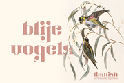 Remish, a Serif Font by RT Studio (Thumbnail 8 of 10)
