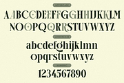 Luxury Ligature Serif Font - Arogel, a Serif Font by Say Studio (Thumbnail 9 of 10)