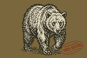 Vintage Grizzly Bear Graphic