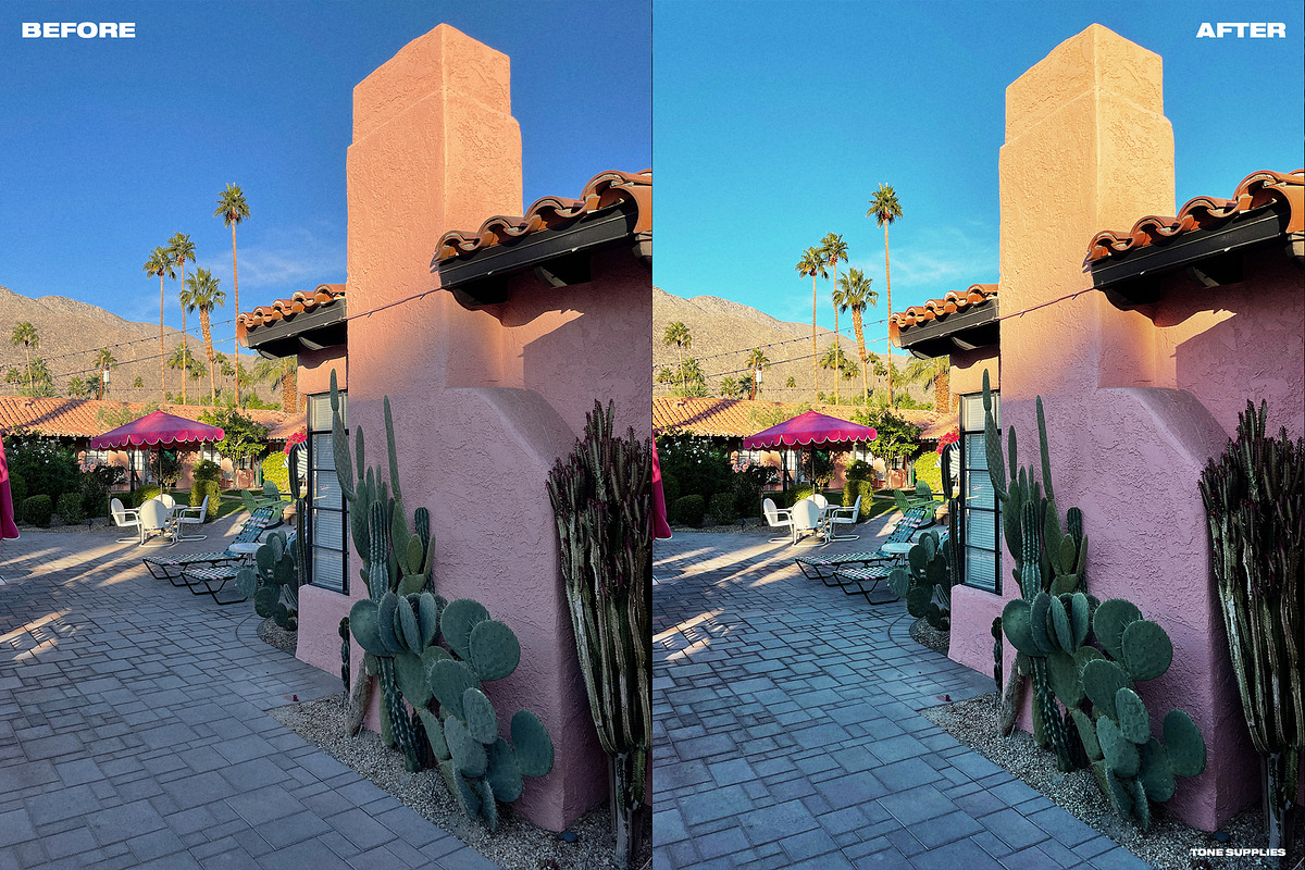 Instant Film LUT Presets Photoshop, a Preset Add-On by TONE SUPPLIES (Photo 10 of 10)