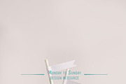 11 Cute Straw Flag Mockups, a Product Mockup by Snark Heart (Thumbnail 6 of 12)