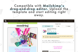 Email Newsletter Template Mailchimp