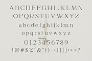 Moghize - Modern Elegant Serif, a Serif Font by Typeformers (Thumbnail 4 of 5)