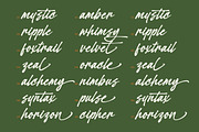 Welcrast Elegant Signature Script, a Script Font by Letterena Studios Script (Thumbnail 5 of 10)