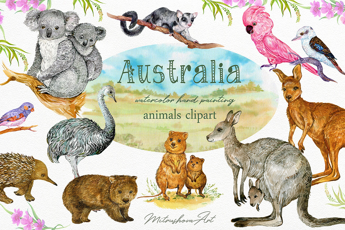 Animals Australia Watercolor, an Animal Illustration by MitrushovaArt (Photo 1 of 10)