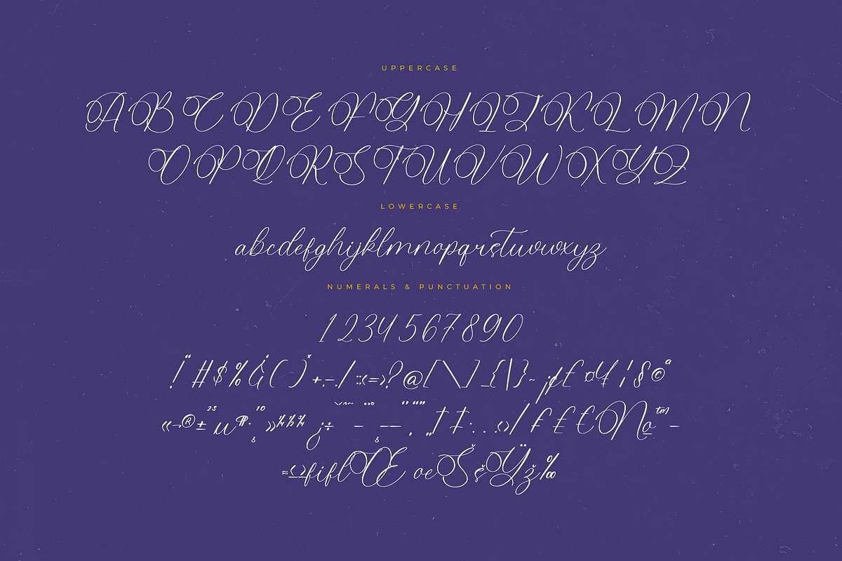 Belati Sophia Modern Beauty Script, a Script Font by Letterena Studios Script (Photo 13 of 15)