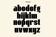 Black Forge, a Sans Serif Font by maybefont (Thumbnail 4 of 10)