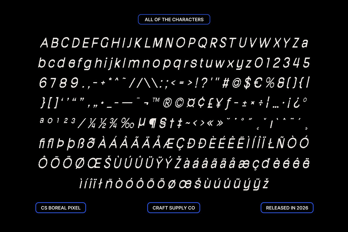 CS Boreal Pixel, a Sans Serif Font by Craft Supply Co. (Photo 8 of 8)