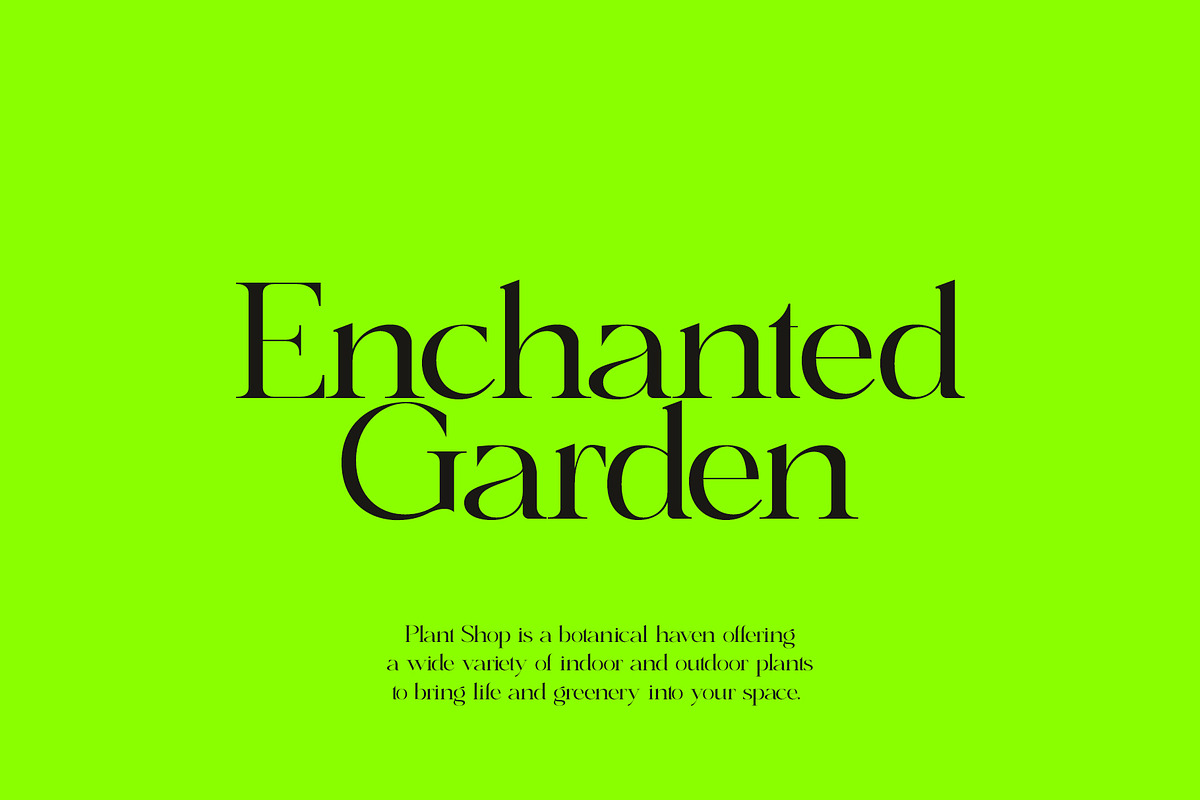 Bungalow - Elegant Serif, a Serif Font by subkulturetype (Photo 6 of 8)