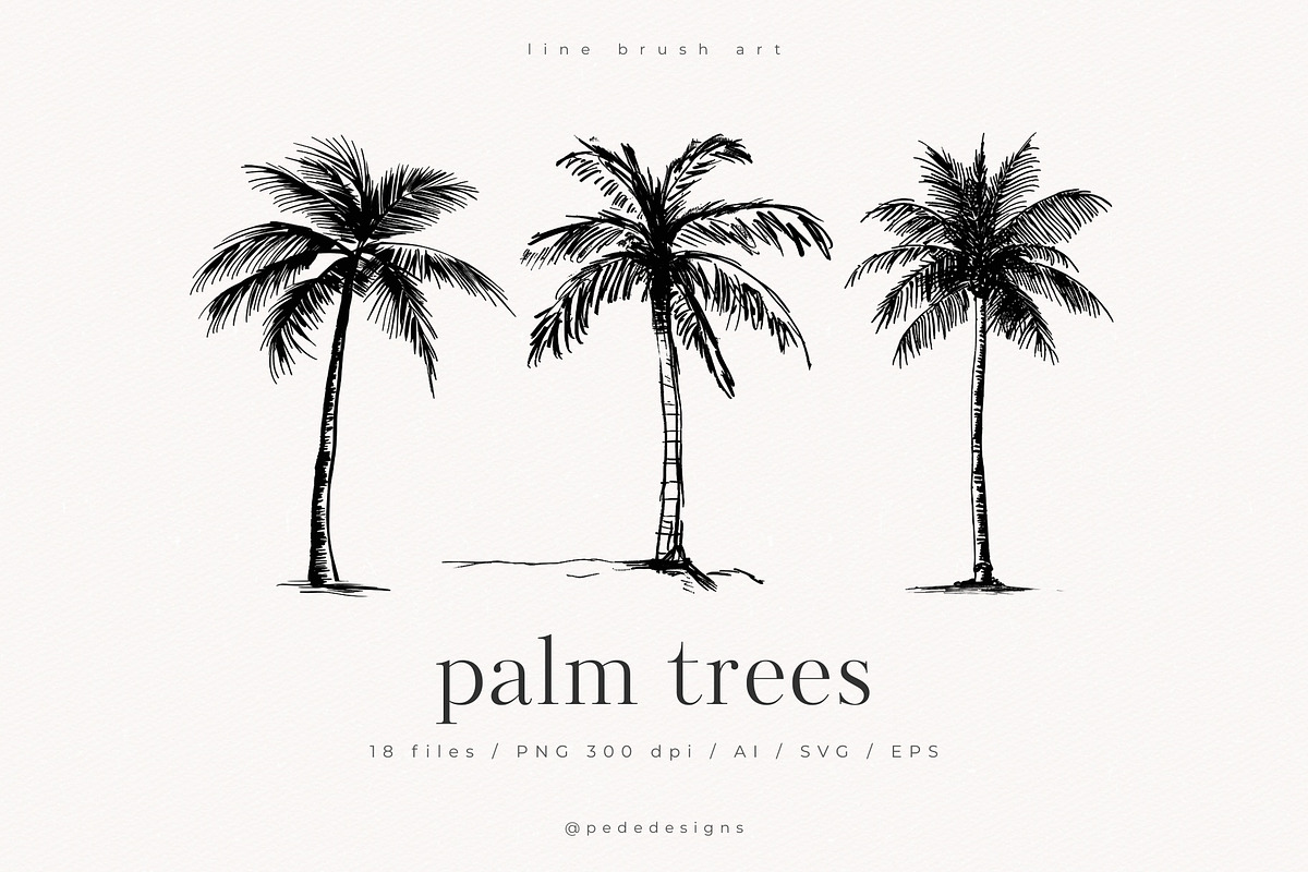 Palm Trees, an Object Illustration by PeDe Designs (Photo 1 of 9)