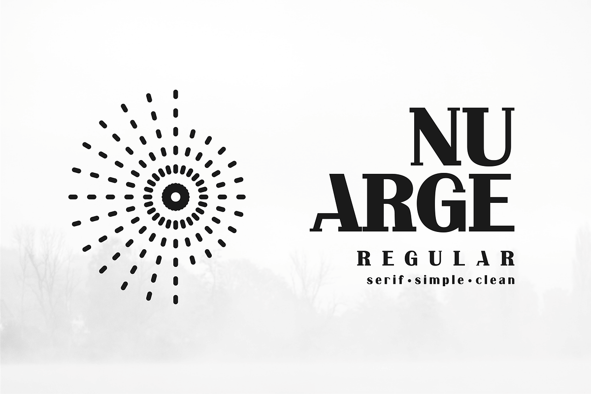Nu Arge, a Serif Font by lelevien (Photo 1 of 5)