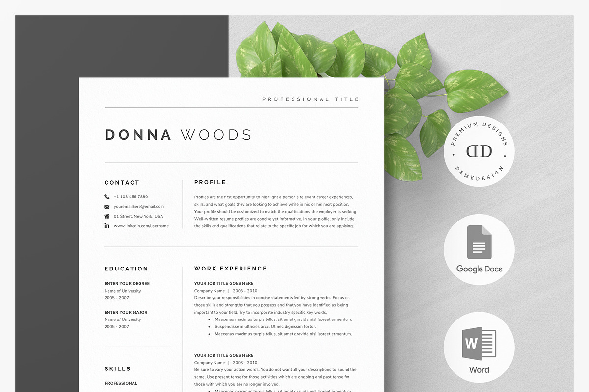 Modern Resume Template Kit, a Resume Template by DemeDesign (Photo 1 of 6)