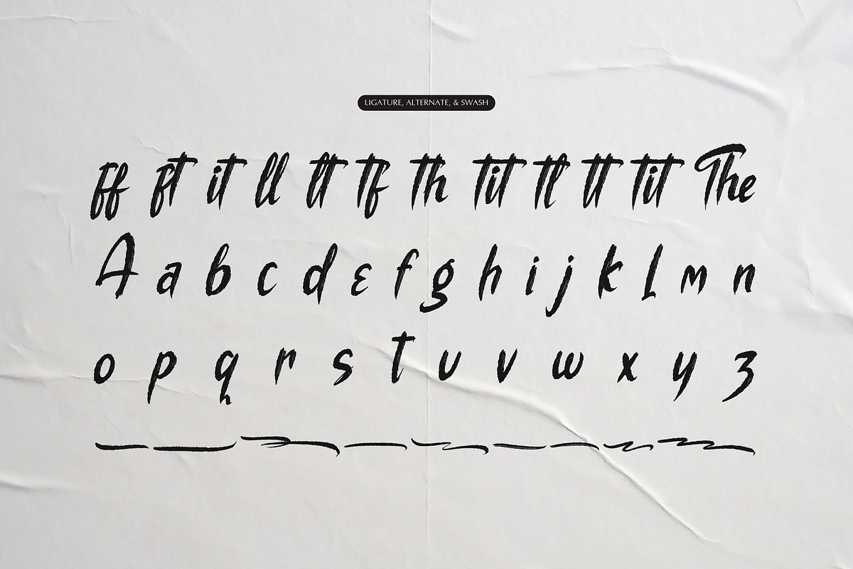 The Mollina | Solid Hand Drawn Brush, a Handwritten Font by gracetype_studio (Photo 11 of 12)