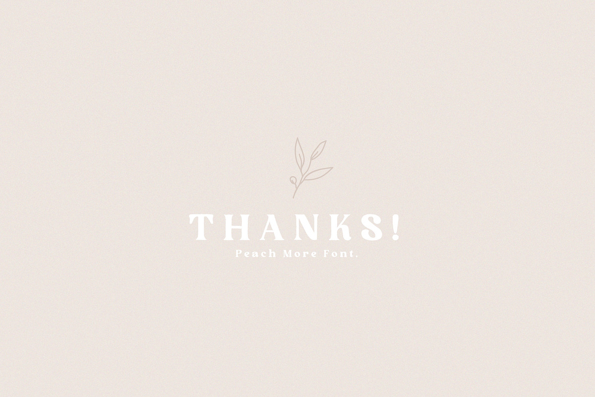 Peach More, a Serif Font by Prioritype Co (Photo 11 of 11)