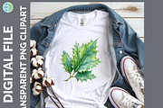 Leaf Illustration Bundle, 20 PNG, a Decorative Illustration by Enliven Designs (Thumbnail 4 of 8)