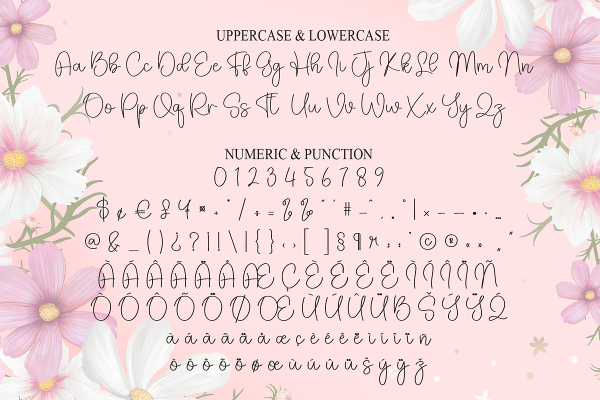 Hailey | Script Font, a Handwritten Font by Scratchones (Photo 7 of 9)