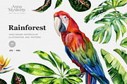 Rainforest illustrations, an Illustration by Anna Myslivets Art (Thumbnail 1 of 7)