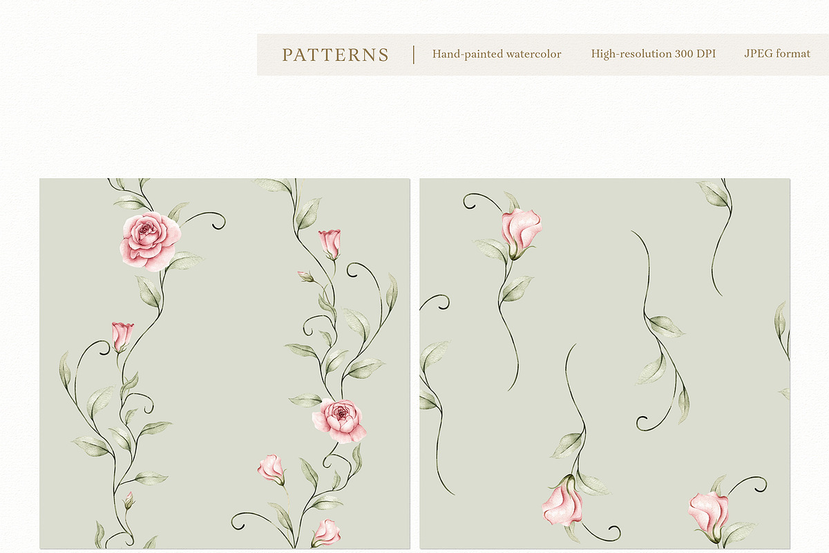 Watercolor Blush Roses Floral Set, a Decorative Illustration by Carol Lozove (Photo 44 of 50)