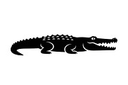 Crocodile Alligator Vector Bundle, an Illustration by jahid234 (Thumbnail 17 of 51)