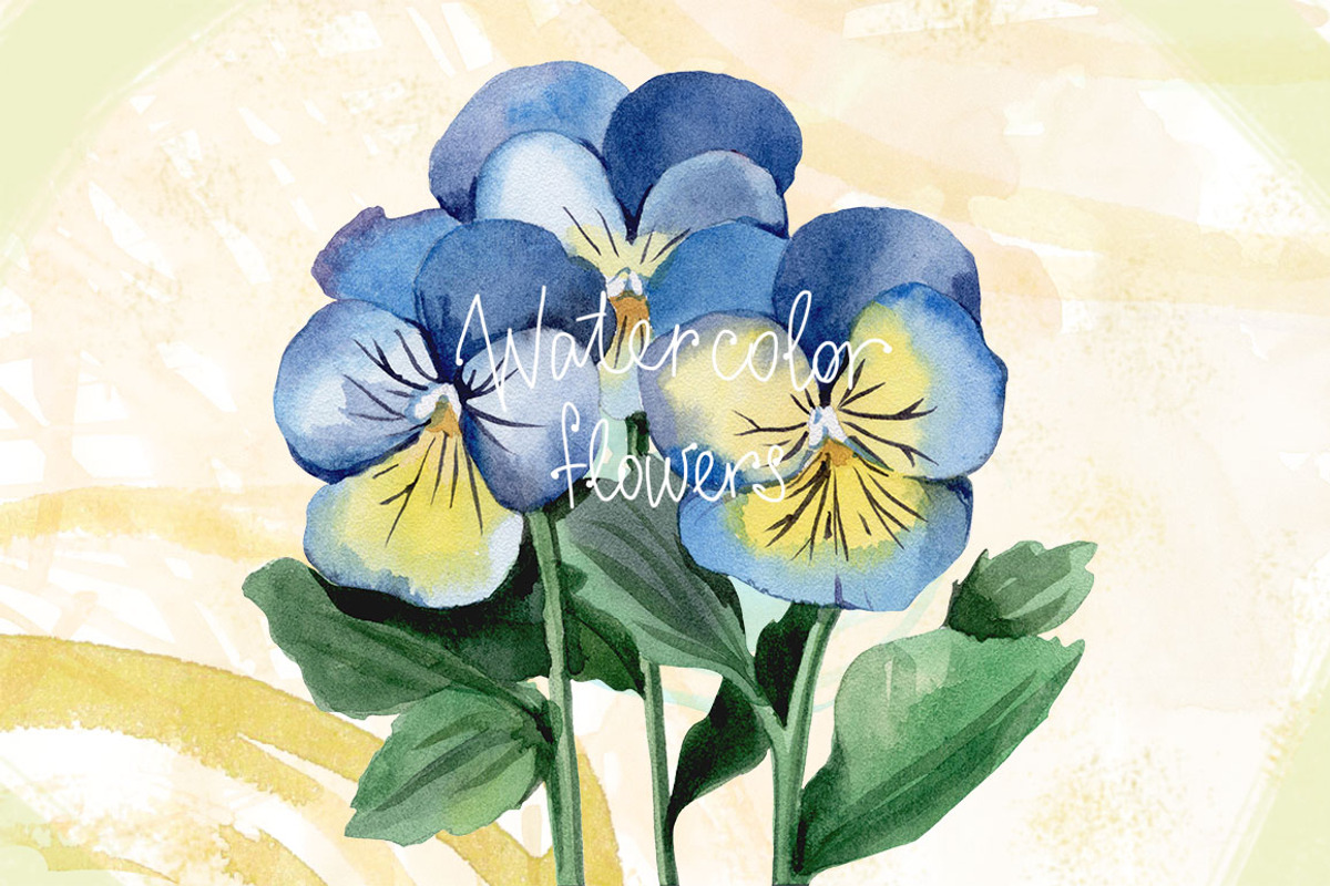 Watercolor flowers set (Pansy), an Illustration by My art shop (Photo 4 of 5)