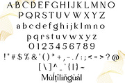 Faven Brill – Serif Font, a Serif Font by NDNL Studio (Thumbnail 9 of 11)