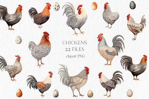 Watercolor chicken clipart