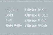 Wistenia Typeface, a Serif Font by Ivan Rosenberg (Thumbnail 17 of 18)