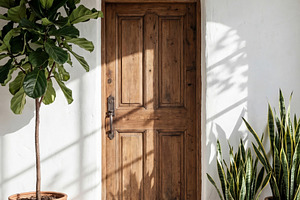 Rustic Wooden Door with Potted Plant, an Architecture Photo by Virgo Studio