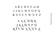 Moles - Serif Display Ligature Font, a Serif Font by Vesvocrea (Thumbnail 7 of 9)