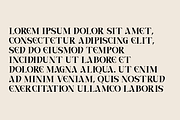 Caelvin – Modern Editorial Serif, a Serif Font by Muksal Creative (Thumbnail 8 of 10)