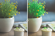 10 Home Presets for LR and PS, an Action Add-On by M E G A S E T S (Thumbnail 10 of 10)