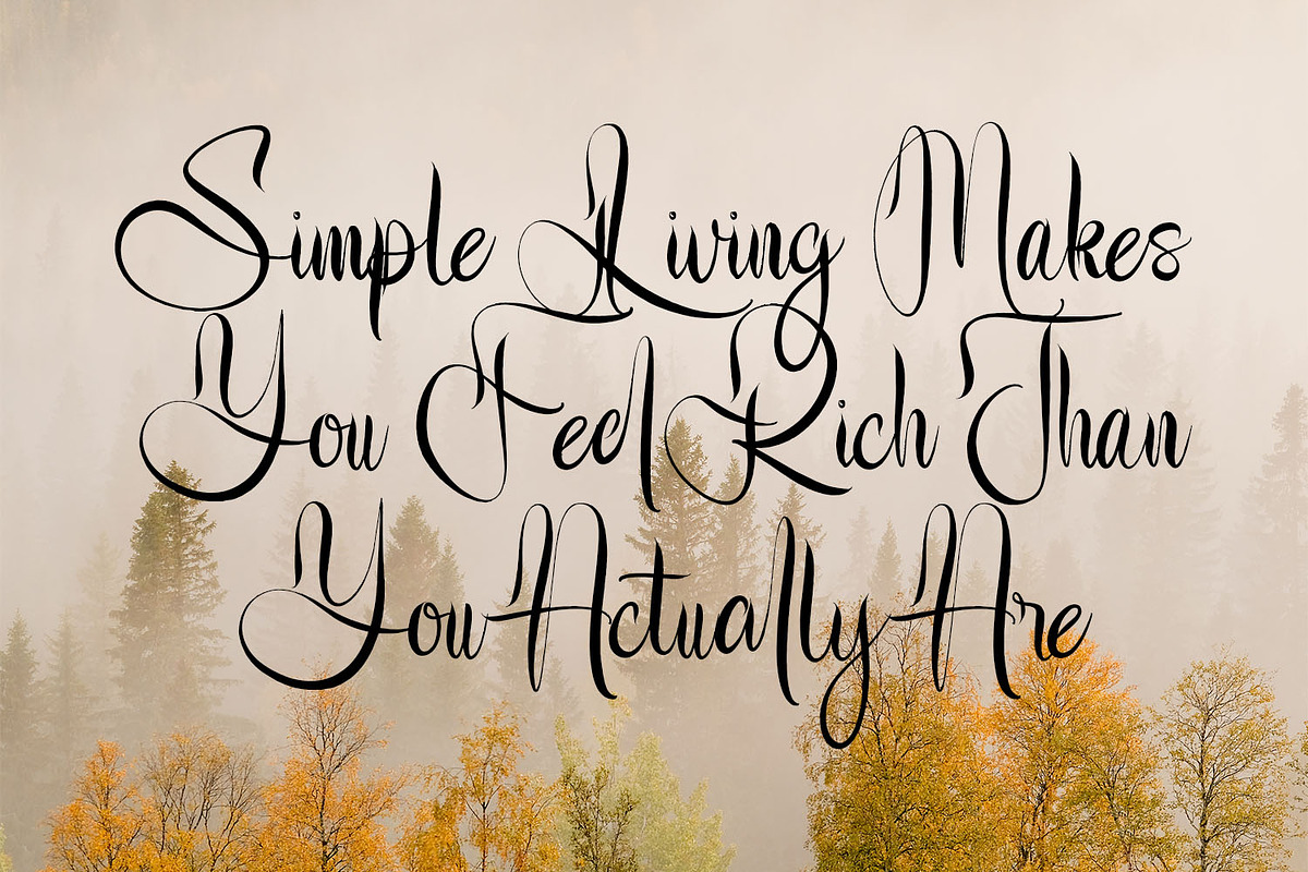 Buterflow - Historical Script Font, a Handwritten Font by Variatype (Photo 3 of 9)