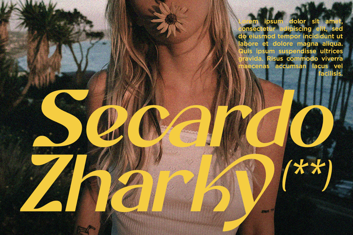 Cherlav - Modern Ligature Font, a Sans Serif Font by RagamKata (Photo 4 of 10)