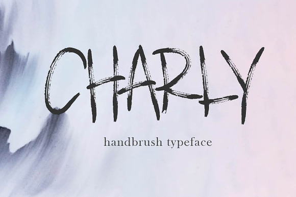 CHARLY preview 8