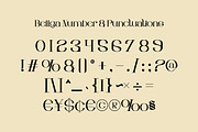 Bellga – Elegant Display Serif Font, a Serif Font by Koplexs Studio (Thumbnail 12 of 12)